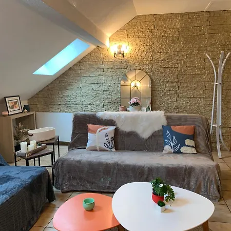 Sous Toits Proche Chateau Des Ducs Chambery